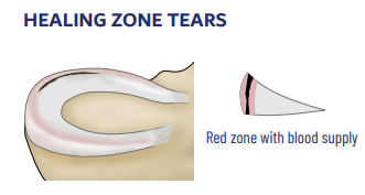 Screenshot 2025-05-01 152400