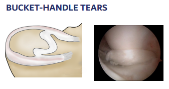 Screenshot 2025-05-01 152434_cleanup (1)