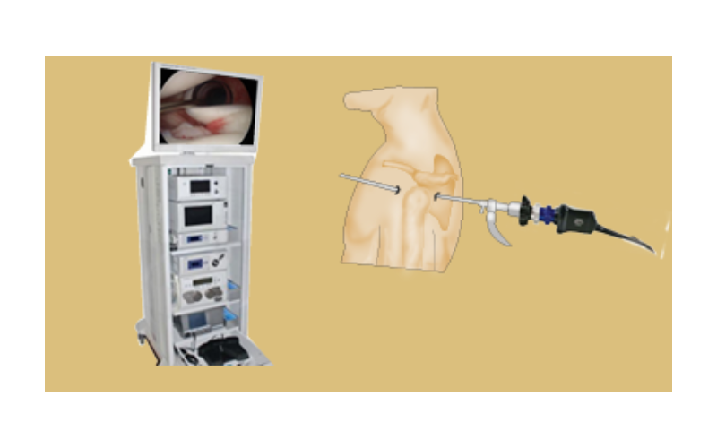 {typeelementor,siteurlhttpsmediumseagreen-snake-507490.hostingersite.comwp-json,elements[{iddf1b026,elTypewidget,isInnerfalse,isLockedfalse,settings{carousel_nameImage